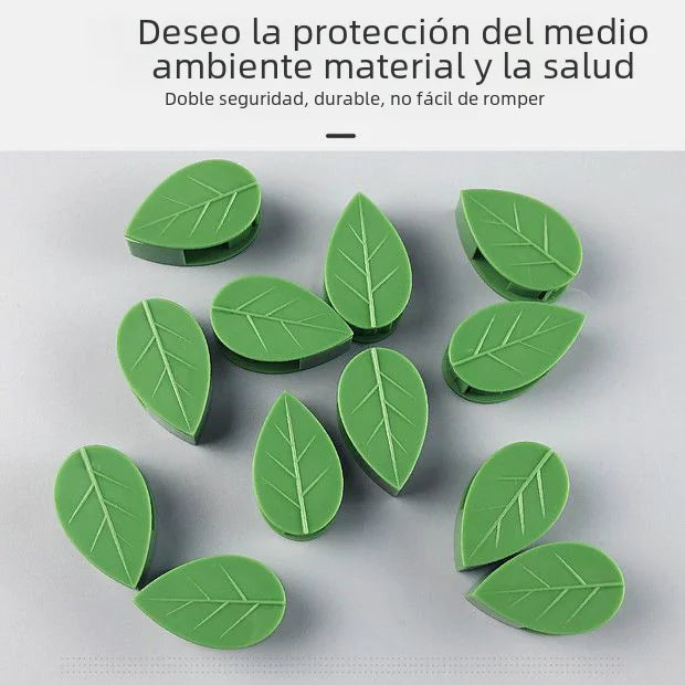 Wall-Mounted Hooks for Climbing Plants and Vines