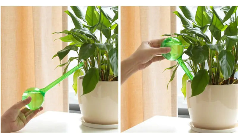 Automatic Glass Sphere Watering Device for Travel