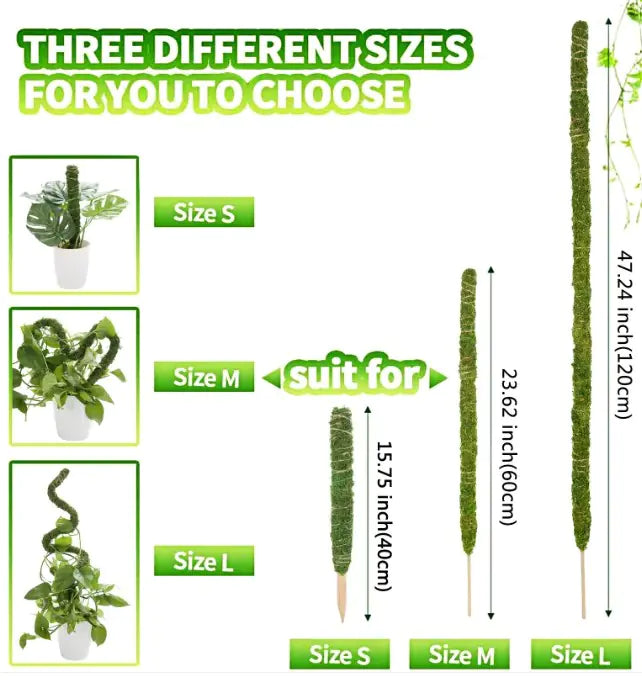 Plant Climbing Vine Moss Pole