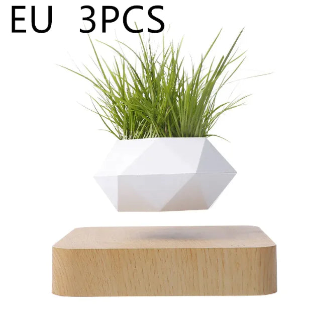 Magnetic Levitation Plant Pot