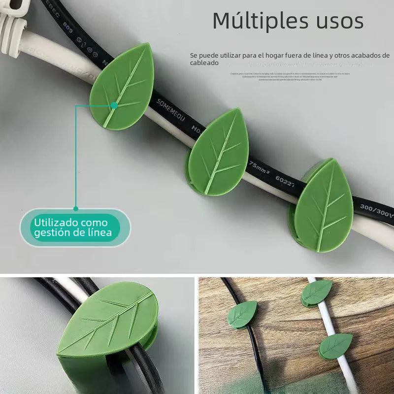 Wall-Mounted Hooks for Climbing Plants and Vines