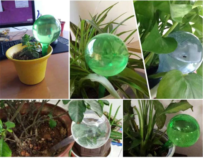 Automatic Glass Sphere Watering Device for Travel