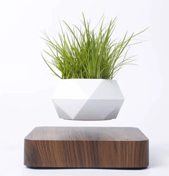 Magnetic Levitation Plant Pot