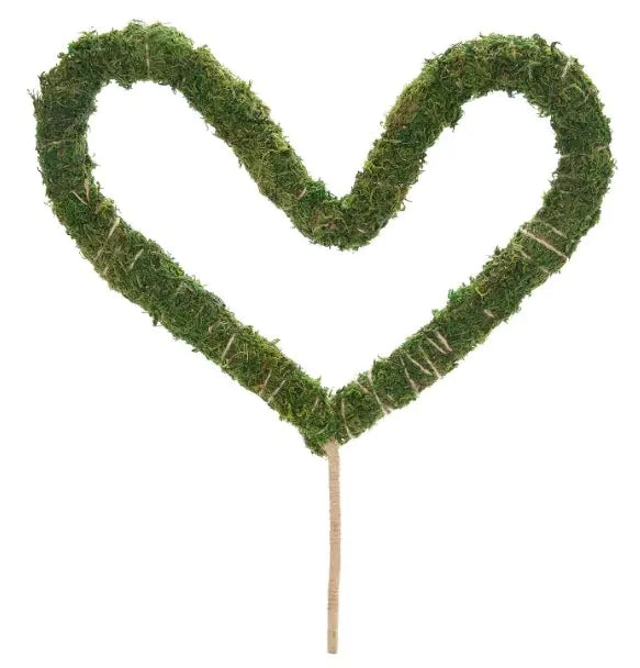 Plant Climbing Vine Moss Pole