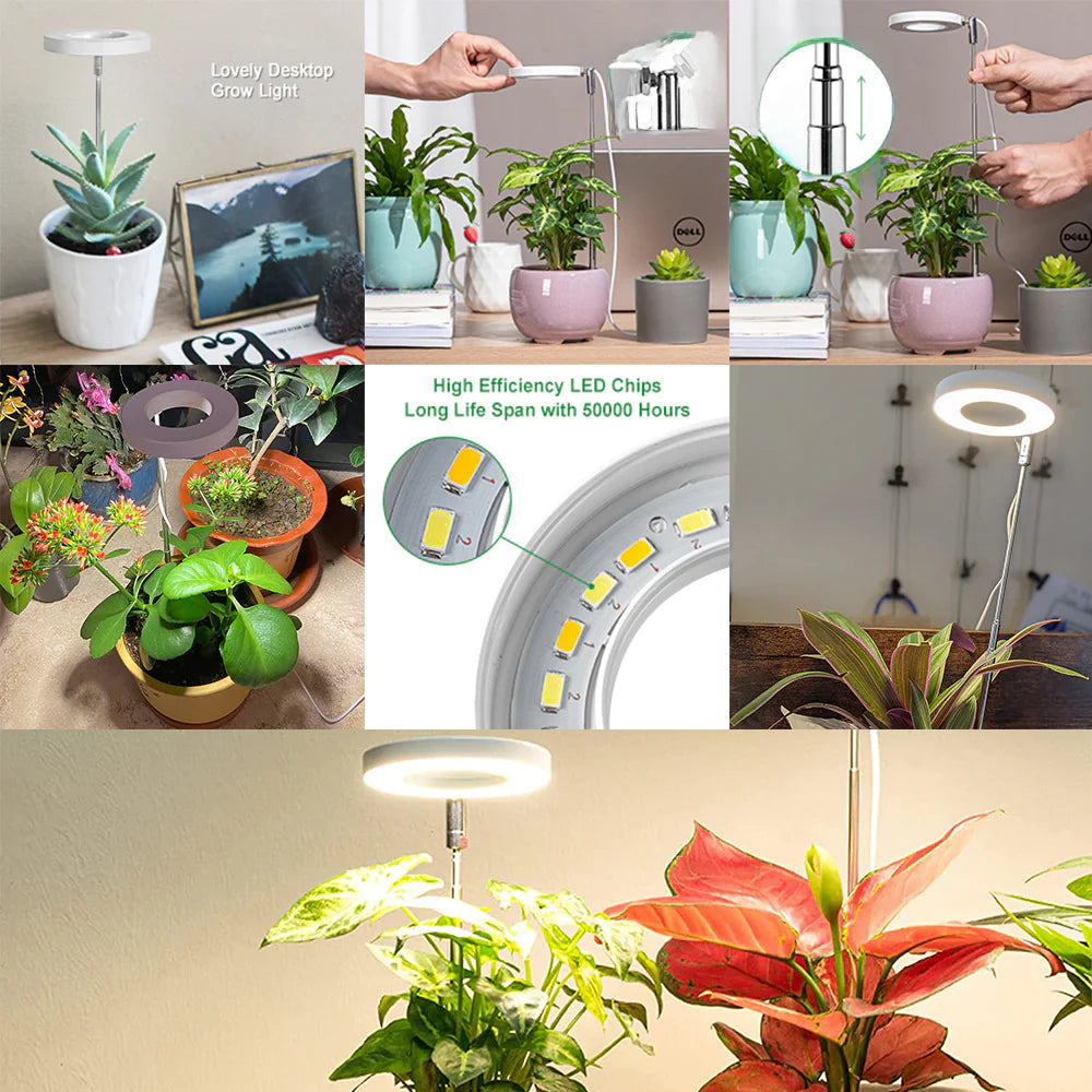 Full Spectrum Indoor LED Plant Growth Light