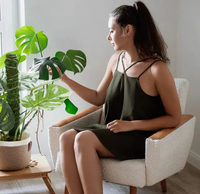 Plant Climbing Vine Moss Pole