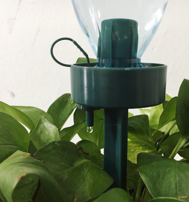 Automatic Plant Watering Device for Easy Care